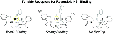 Graphical abstract: Modular tripodal receptors for the hydrosulfide (HS−) anion