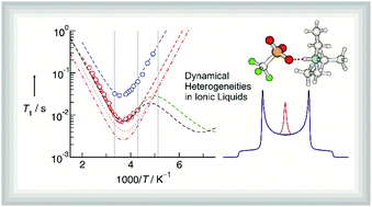 Graphical abstract: Dynamical heterogeneities in ionic liquids as revealed from deuteron NMR