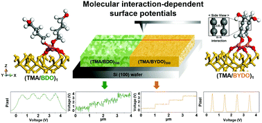 Graphical abstract: Molecular interaction-dependent surface potentials of sequentially polymerized alucone films
