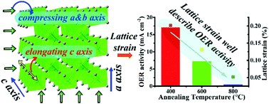 Graphical abstract: Effect of lattice strain on the electro-catalytic activity of IrO2 for water splitting