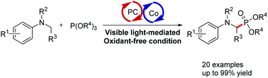 Graphical abstract: Visible light-mediated oxidative C(sp3)–H phosphonylation for α-aminophosphonates under oxidant-free conditions