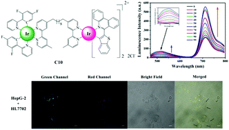 Graphical abstract: A luminescent bimetallic iridium(iii) complex for ratiometric tracking intracellular viscosity