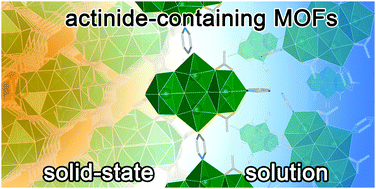 Graphical abstract: Actinide-based MOFs: a middle ground in solution and solid-state structural motifs