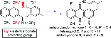 Graphical abstract: A general strategy for diverse syntheses of anhydrolandomycinone, tetrangulol, and landomycinone