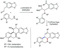 Graphical abstract: Formal synthesis of chelamidine alkaloids and their derivatives