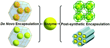 Graphical abstract: Enzyme encapsulation in metal–organic frameworks for applications in catalysis