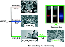 Graphical abstract: Low temperature surfactant-free synthesis of monodisperse β-NaGdF4 nanorods by a novel ion-exchange process and their luminescence properties