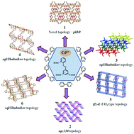 Graphical abstract: Cd(ii) coordination polymers constructed with a flexible carboxylate linker and pyridyl co-linkers: variation in the network topologies and photoluminescence properties