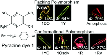 Graphical abstract: Tuning of fluorescence efficiency via local modification of the crystal structure by benzyl groups in polymorphs of a pyrazine dye