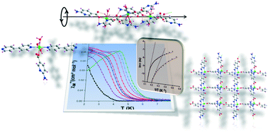 Graphical abstract: From isolated to 2D coordination polymers based on 6-aminonicotinate and 3d-metal ions: towards field-induced single-ion-magnets