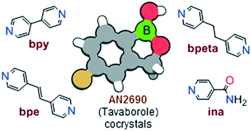 Graphical abstract: Generation of cocrystals of Tavaborole (AN2690): opportunities for boron-containing APIs