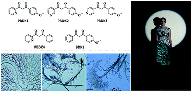 Graphical abstract: Curved fractal structures of pyridine-substituted β-diketone crystals