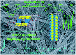 Graphical abstract: Silicone-oil-assisted synthesis of high-quality sodium niobate nanowires