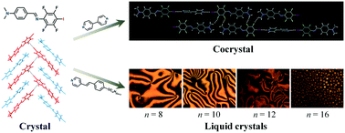 Graphical abstract: Modulating the assembly of N-benzylideneaniline by halogen bonding: crystal, cocrystal and liquid crystals