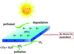 Graphical abstract: Br-Doped Bi2O2CO3 exposed (001) crystal facets with enhanced photocatalytic activity