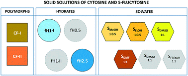 Graphical abstract: Prediction and experimental validation of solid solutions and isopolymorphs of cytosine/5-flucytosine