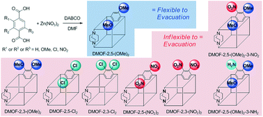 Graphical abstract: Flexibility in metal–organic frameworks derived from positional and electronic effects of functional groups