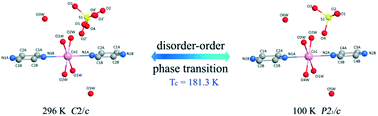 Graphical abstract: Switchable dielectric phase transition originating from disorder–order transformation and distortion in {[(C4H4N2)Co(H2O)4]SO4·2H2O}n