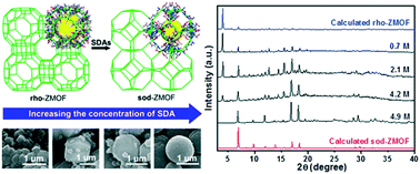Graphical abstract: Structure directing agents induced morphology evolution and phase transition from indium-based rho- to sod-ZMOF