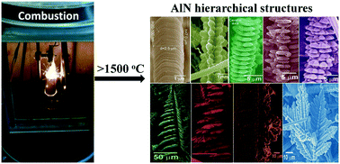 Graphical abstract: Tailoring the morphology of AlN: from 6-fold patterned crystals to multilayer hierarchical structures
