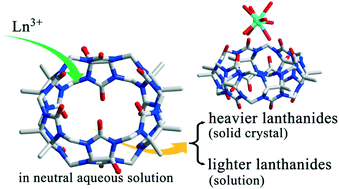 Graphical abstract: Adducts of aqua complexes of Ln3+ with a di-hydroxylated symmetrical octamethyl-substituted cucurbituril: potential applications for isolation of heavier lanthanides