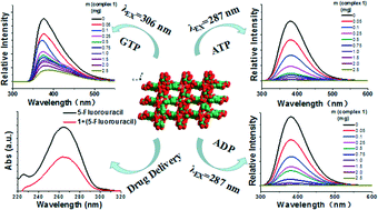 Graphical abstract: A Zn(ii) complex with large channels based on 3′-nitro-biphenyl-3,5,4′-tricarboxylic acid: synthesis, crystal structure, fluorescence sensing of ATP, ADP, GTP, and UTP in aqueous solution and drug delivery