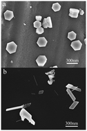 Graphical abstract: Nucleation and growth of zinc crystals on a liquid surface
