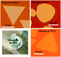 Graphical abstract: Edge controlled growth of hexagonal boron nitride crystals on copper foil by atmospheric pressure chemical vapor deposition