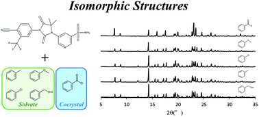 Graphical abstract: Cocrystal structure design for CH5134731 based on isomorphism