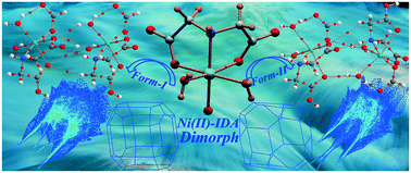 Graphical abstract: Screening polymorphism in a Ni(ii) metal–organic framework: experimental observations, Hirshfeld surface analyses and DFT studies