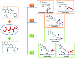 Graphical abstract: Diversity of crystal structures and physicochemical properties of ciprofloxacin and norfloxacin salts with fumaric acid