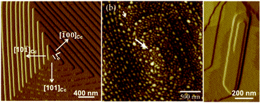 Graphical abstract: Atomic force microscopy imaging of classical and nonclassical surface growth dynamics of calcium orthophosphates