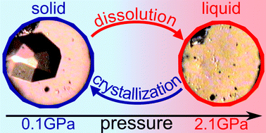 Graphical abstract: Pressure inverse solubility and polymorphism of an edible γ-cyclodextrin-based metal–organic framework