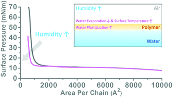 Graphical abstract: Increased humidity can soften glassy Langmuir polymer films by two mechanisms: plasticization of the polymer material, and suppression of the evaporation cooling effect