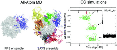 Graphical abstract: Structural and dynamic properties of the C-terminal region of the Escherichia coli RNA chaperone Hfq: integrative experimental and computational studies