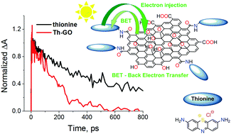 Graphical abstract: Thionine–graphene oxide covalent hybrid and its interaction with light