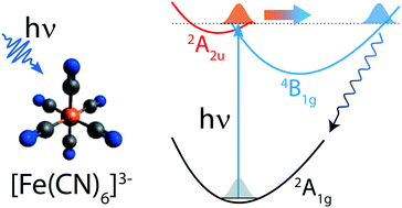 Graphical abstract: Light-induced relaxation dynamics of the ferricyanide ion revisited by ultrafast XUV photoelectron spectroscopy