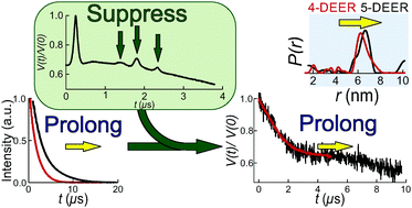 Graphical abstract: Artefact suppression in 5-pulse double electron electron resonance for distance distribution measurements