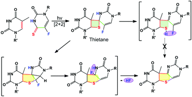 Graphical abstract: A theoretical study of the light-induced cross-linking reaction of 5-fluoro-4-thiouridine with thymine