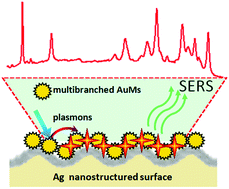 Graphical abstract: Ultrasensitive and reproducible SERS platform of coupled Ag grating with multibranched Au nanoparticles