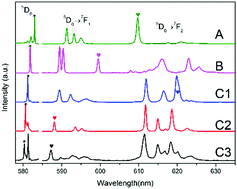 Graphical abstract: Investigation on the site occupation of rare-earth ions in CaIn2O4 with the fluorescence probe of Eu3+
