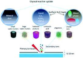 Graphical abstract: Deciphering the aqueous chemistry of glyoxal oxidation with hydrogen peroxide using molecular imaging