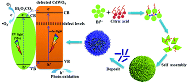 Graphical abstract: Surface oxygen vacancy induced solar light activity enhancement of a CdWO4/Bi2O2CO3 core–shell heterostructure photocatalyst