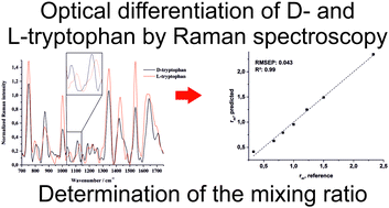 Graphical abstract: Raman microspectroscopy and multivariate data analysis: optical differentiation of aqueous d- and l-tryptophan solutions