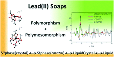 Graphical abstract: Lead(ii) soaps: crystal structures, polymorphism, and solid and liquid mesophases