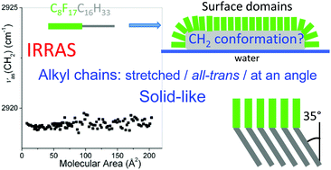 Graphical abstract: Self-assembled mesoscopic surface domains of fluorocarbon–hydrocarbon diblocks can form at zero surface pressure: tilting of solid-like hydrocarbon moieties compensates for cross-section mismatch with fluorocarbon moieties
