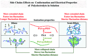 Graphical abstract: How side chains affect conformation and electrical properties of poly(acrylic acid) in solution?