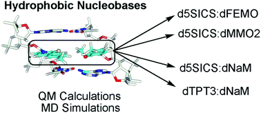 Graphical abstract: How do hydrophobic nucleobases differ from natural DNA nucleobases? Comparison of structural features and duplex properties from QM calculations and MD simulations