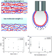 Graphical abstract: The influence of polyanion molecular weight on polyelectrolyte multilayers at surfaces: elasticity and susceptibility to saloplasticity of strongly dissociated synthetic polymers at fluid–fluid interfaces