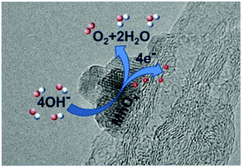Graphical abstract: Tuning the oxidation state of manganese oxide nanoparticles on oxygen- and nitrogen-functionalized carbon nanotubes for the electrocatalytic oxygen evolution reaction